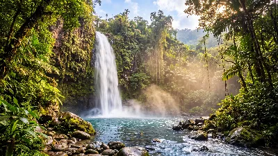 Veiled Jungle Waterfall
