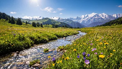 Pré alpin ensoleillé et ruisseau murmure