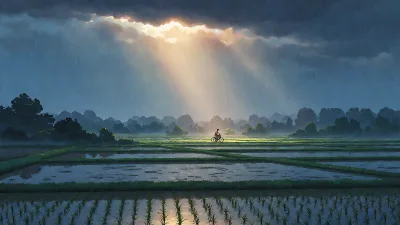 Regenvorhang Sonnenaufbruch