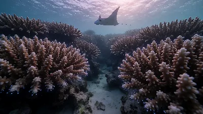 Forêt de Récif Bioluminescente au Crépuscule