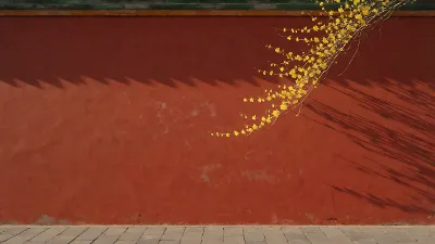 Rote Mauer, gelbe Blüten