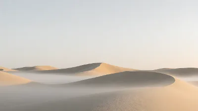 Dunes Brumeuses