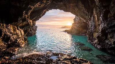 Oasis de Caverne Côtière